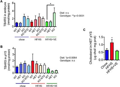 Vitamin E supplementation prevents obesogenic diet-induced developmental abnormalities in SR-B1 deficient embryos